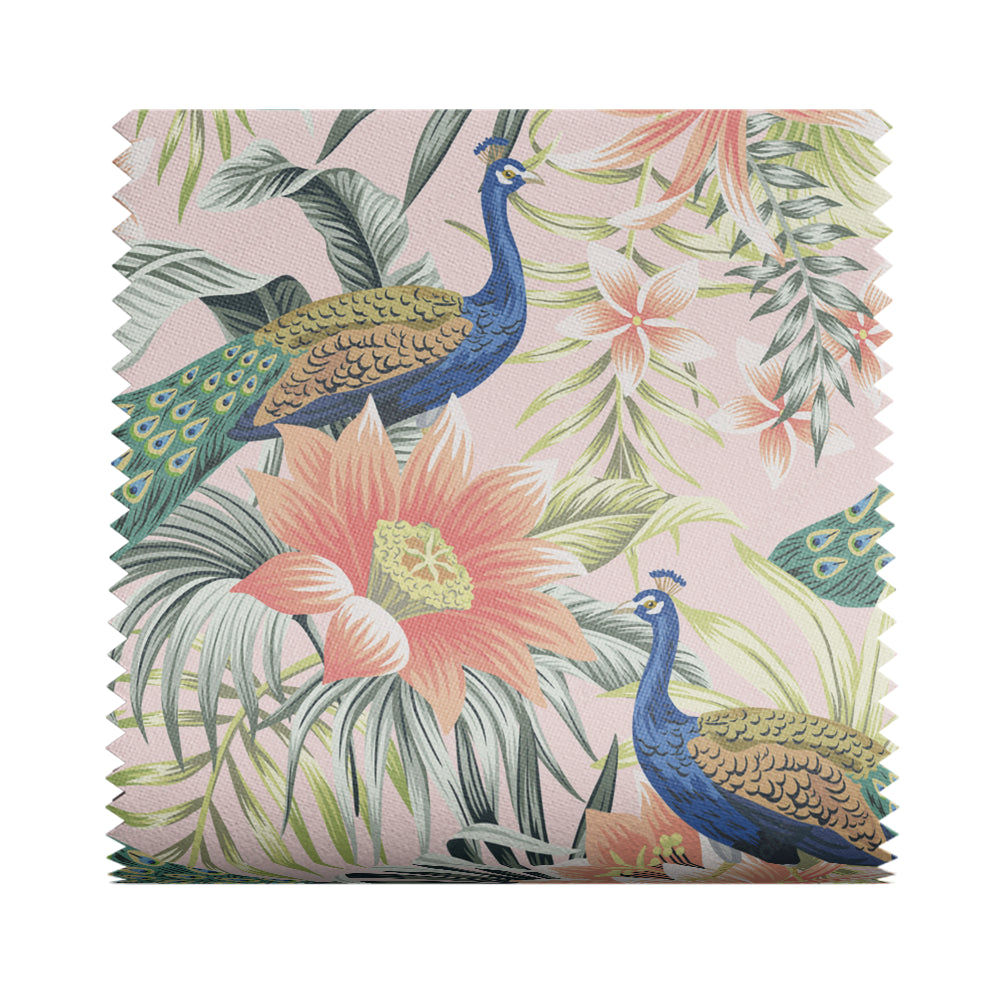 Tropical Summer