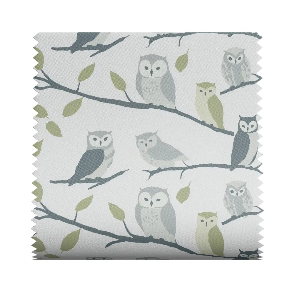 Litlle Owls
