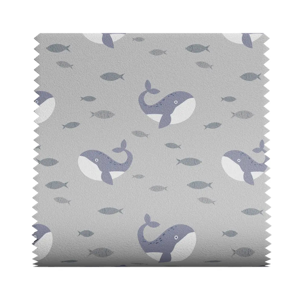 Baby Whale